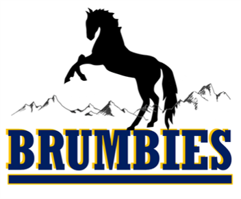 Old Brumbies Rugby Shirts