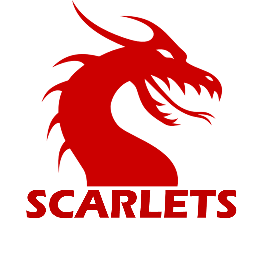 Large Scarlets Rugby Shirts