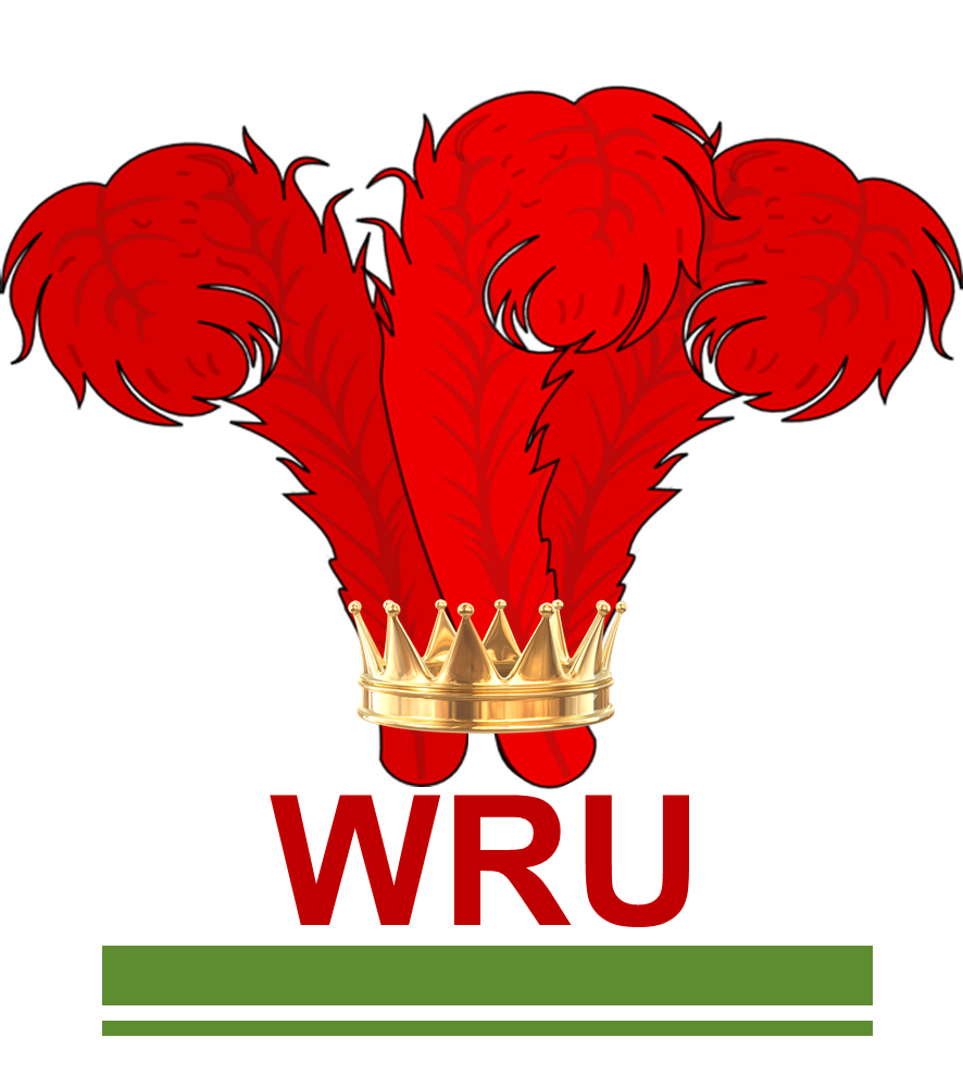 Large Wales Rugby Shirts