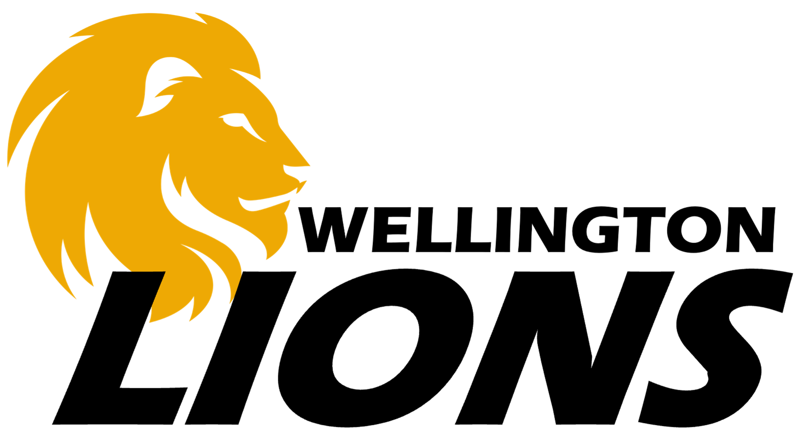 Old Wellington Lions Rugby Shirts