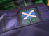 2019/20 Scotland Home Rugby Shirt (S)