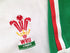 2003 Wales Away World Cup Rugby Shirt. (L)