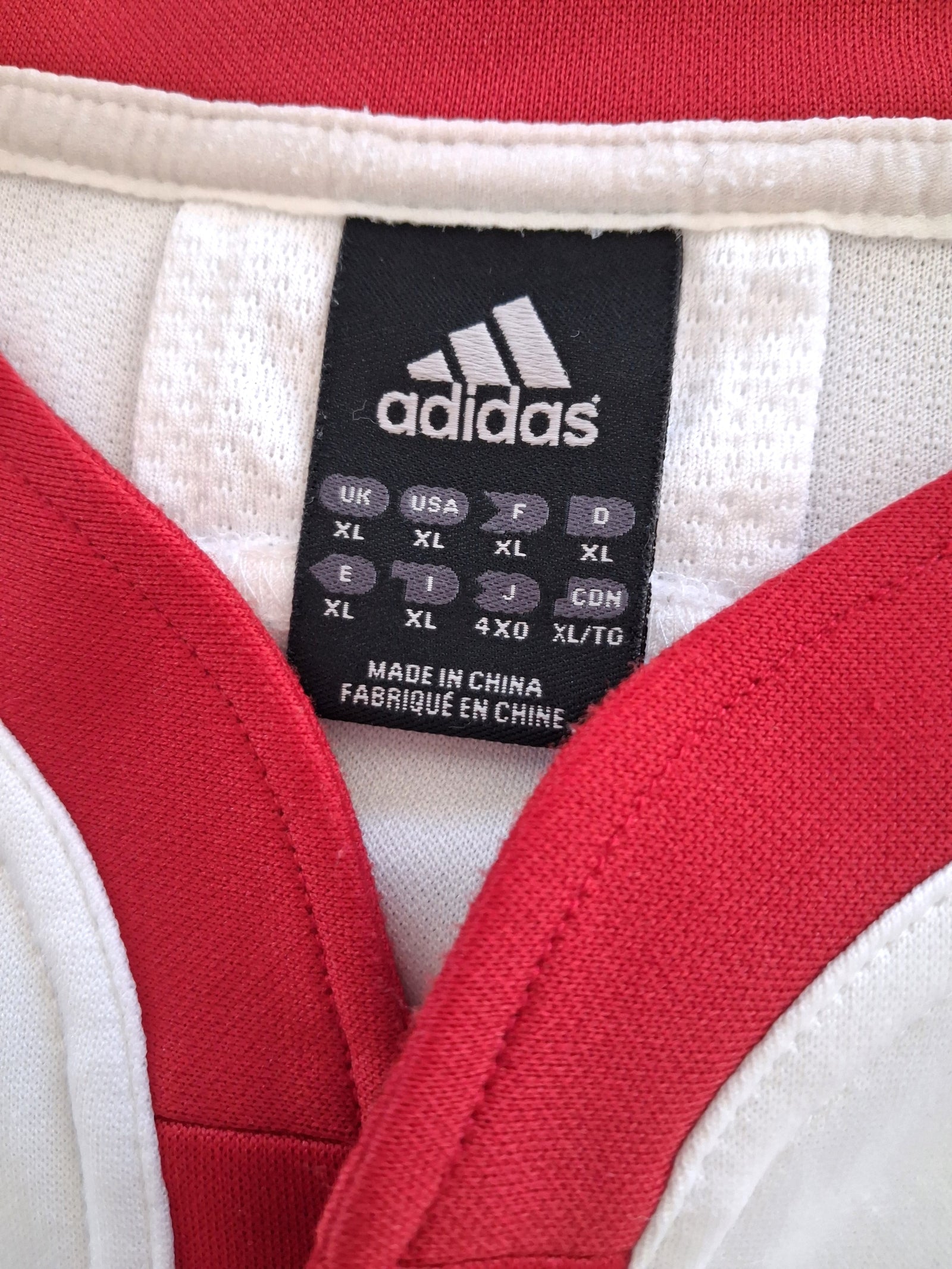 2009 British & Irish Lions Training Shirt - White (XL)
