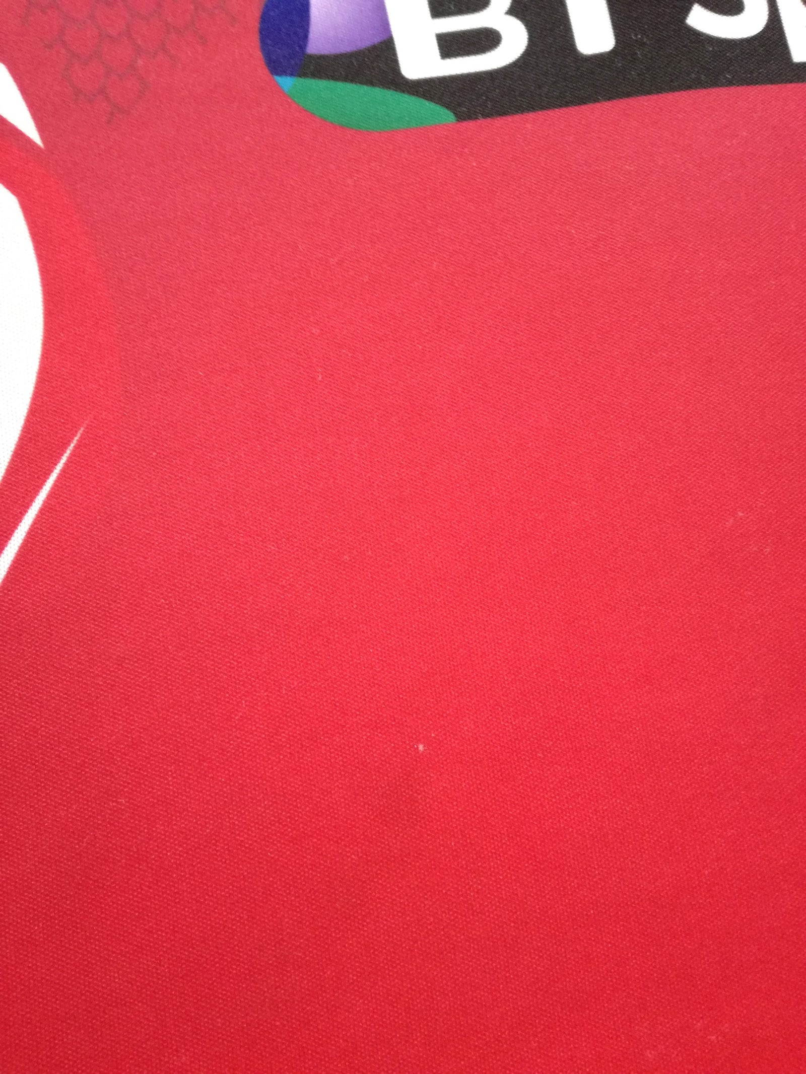 2014/15 Scarlets Home Rugby Shirt (L)