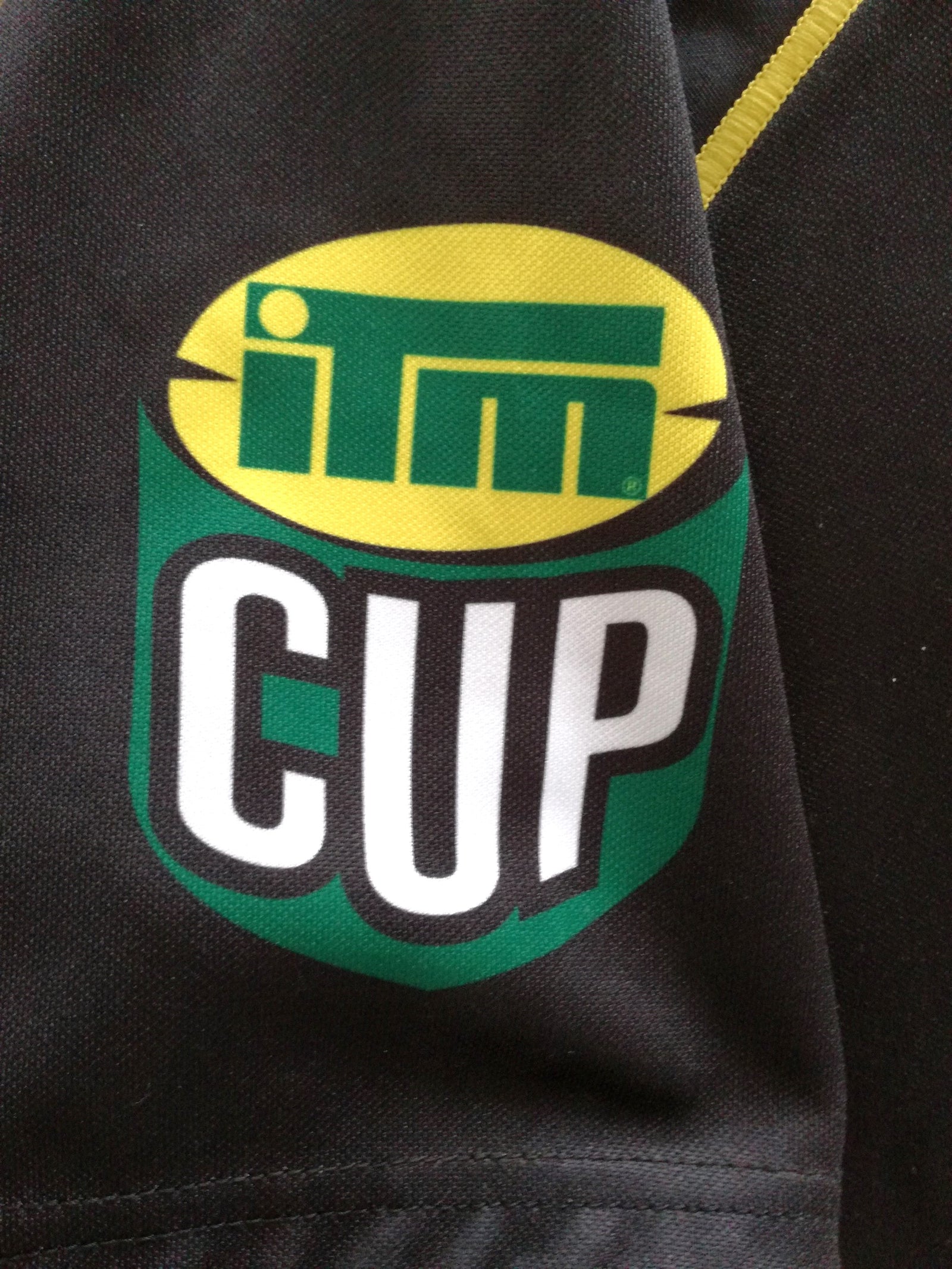 2013 Wellington Lions Home Rugby Shirt (L)