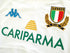 2009/10 Italy Away Rugby Shirt (L)