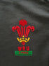 2007 Wales Away World Cup Pro-Fit Rugby Shirt (M)