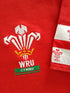 1995 Wales Home World Cup Rugby Shirt (S)