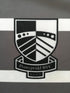 2018/19 Pontypridd Away Rugby Shirt #8 (XL)