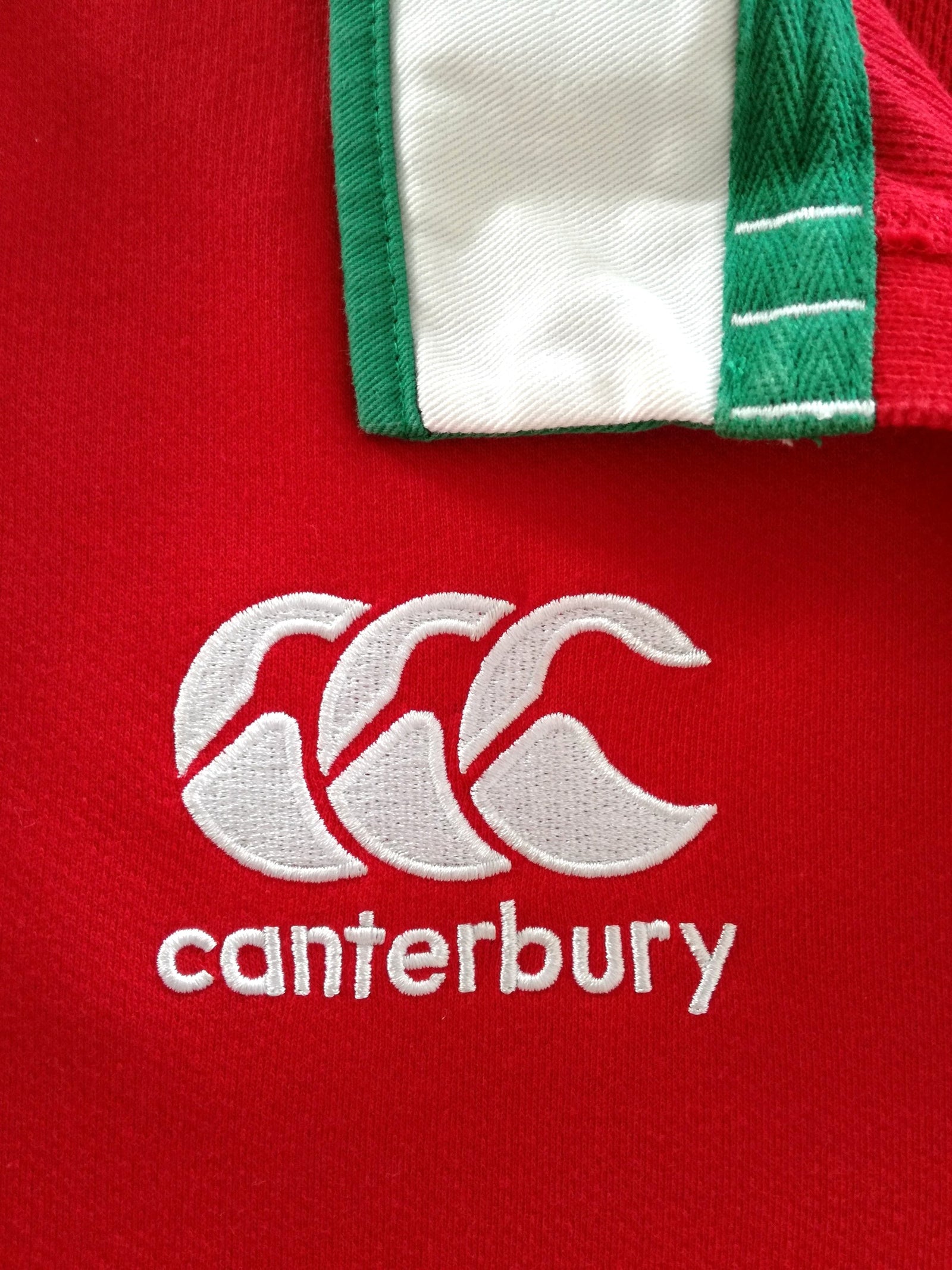2021 British & Irish Lions Leisure Shirt (L)