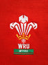 1991 Wales Home Rugby Shirt (L)