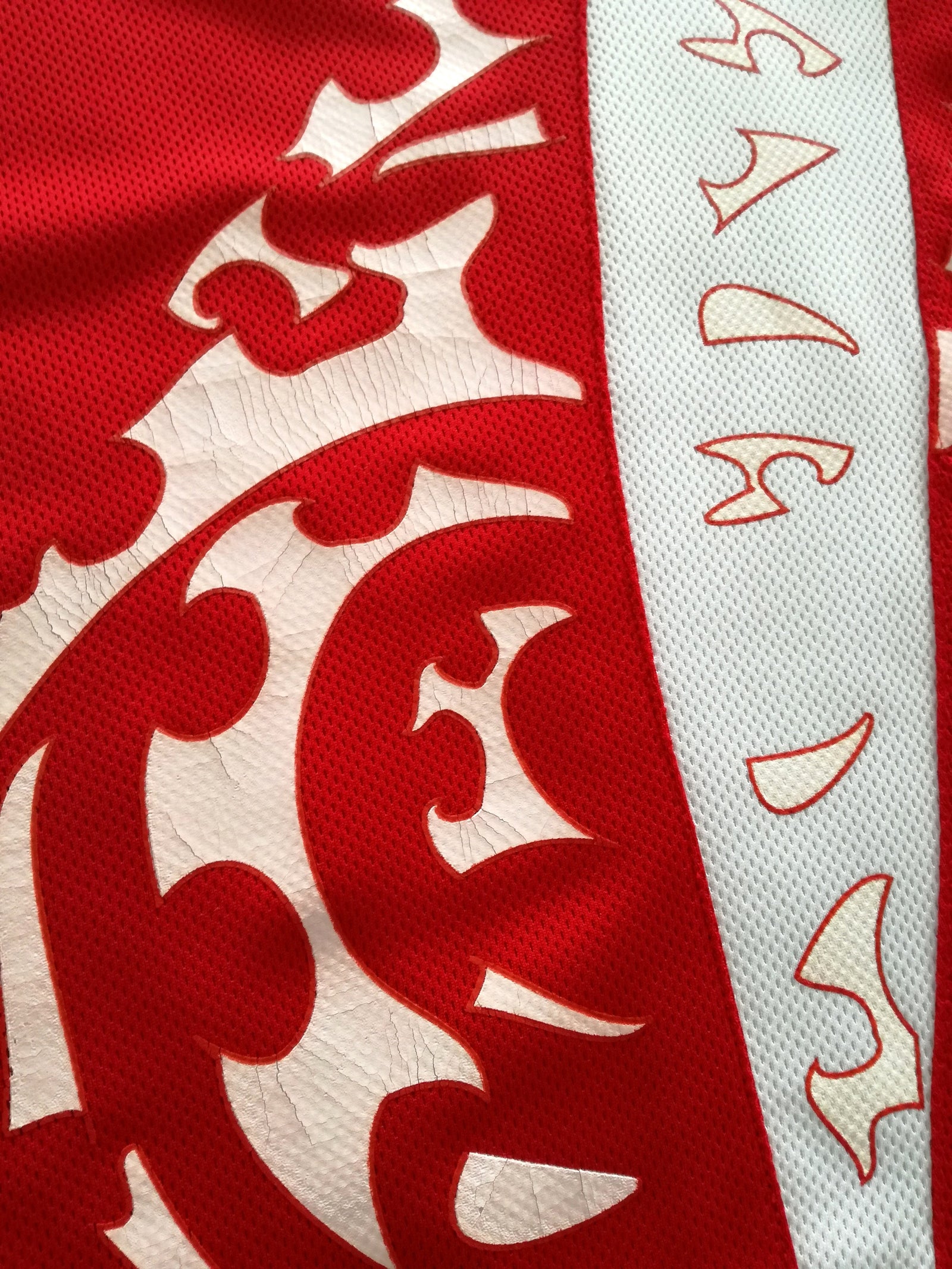 2008/09 Tonga Home Rugby Shirt (M)
