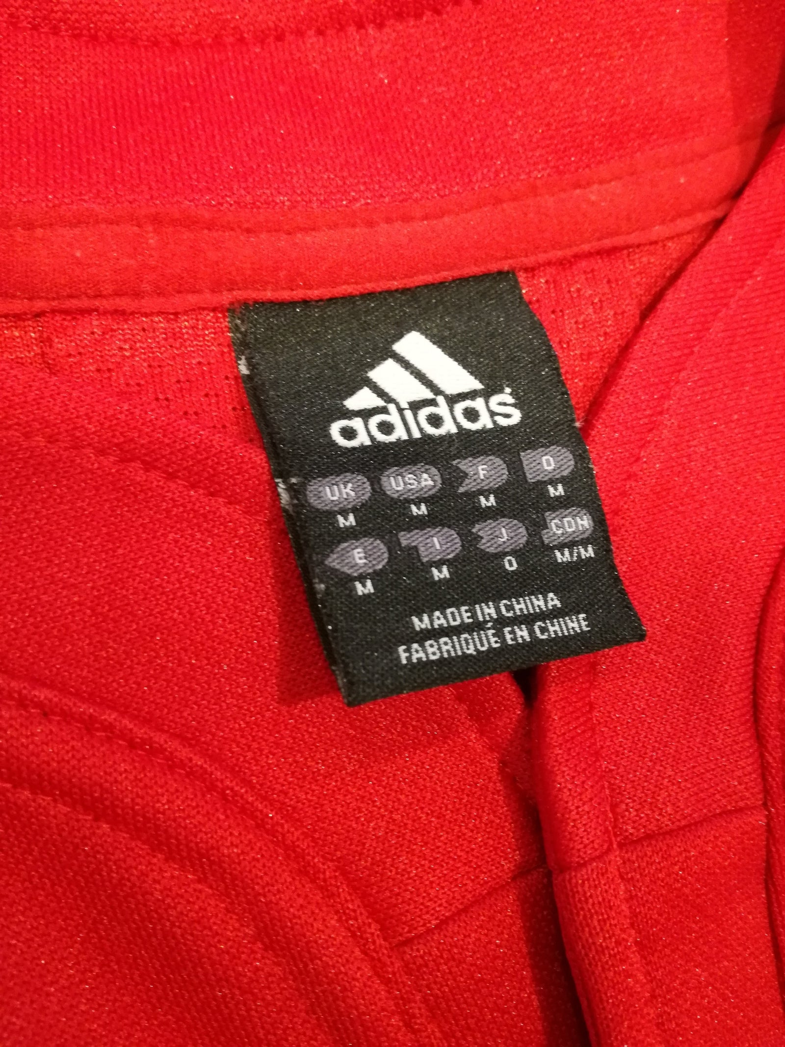 2009 British & Irish Lions Rugby Shirt (M)