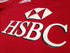 2009 British & Irish Lions Rugby Shirt (M)