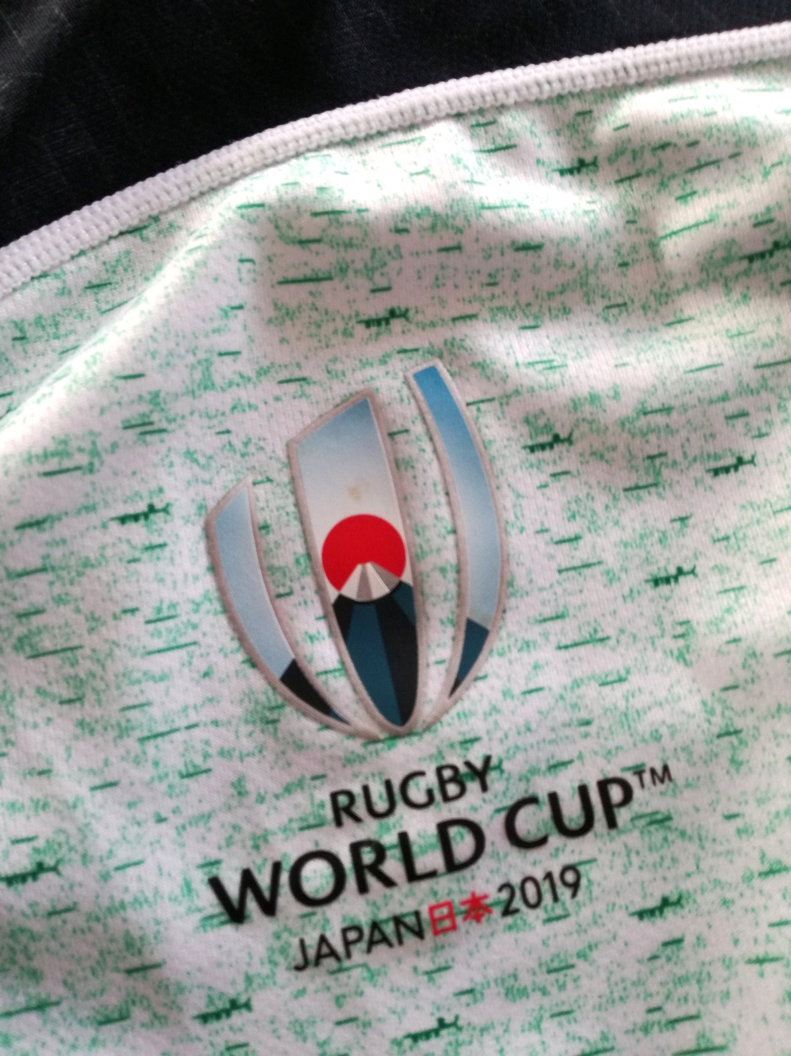 2019 Ireland Away World Cup Rugby Shirt (L)