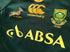 2011 South Africa Home Rugby Shirt (M)