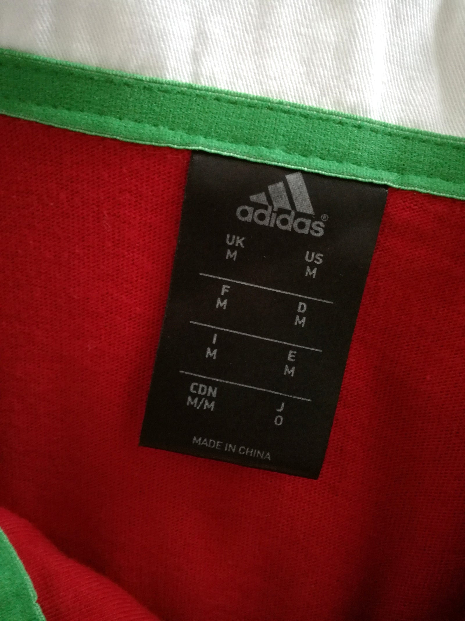 2013 British & Irish Lions 'Supporters' Rugby Shirt (M)