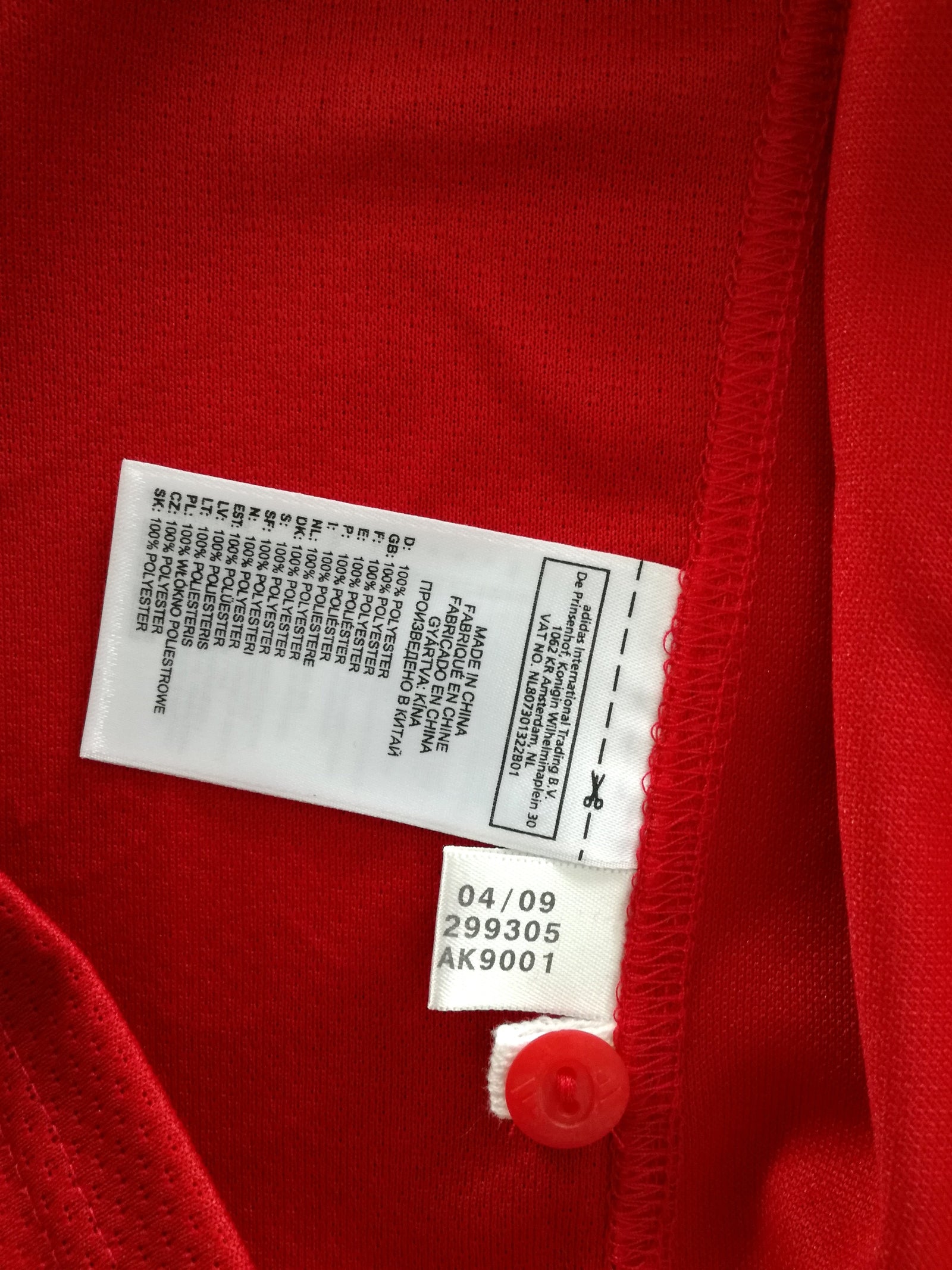 2009 British & Irish Lions Rugby Shirt (L)