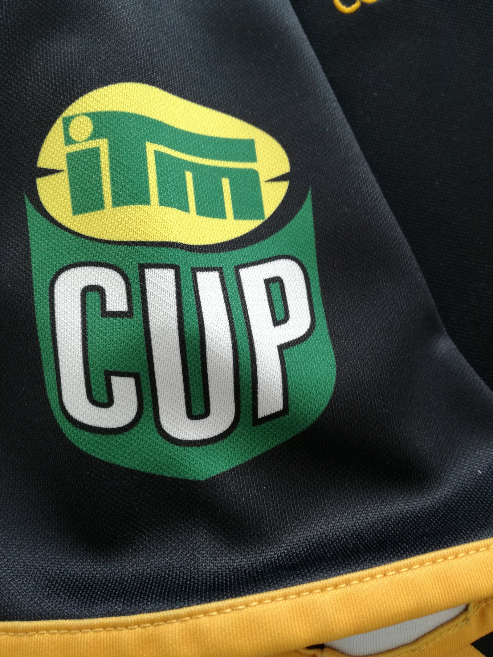 2010 Wellington Lions Home Rugby Shirt (L)