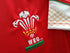 2008/09 Wales Home Pro-Fit Rugby Shirt (XL)