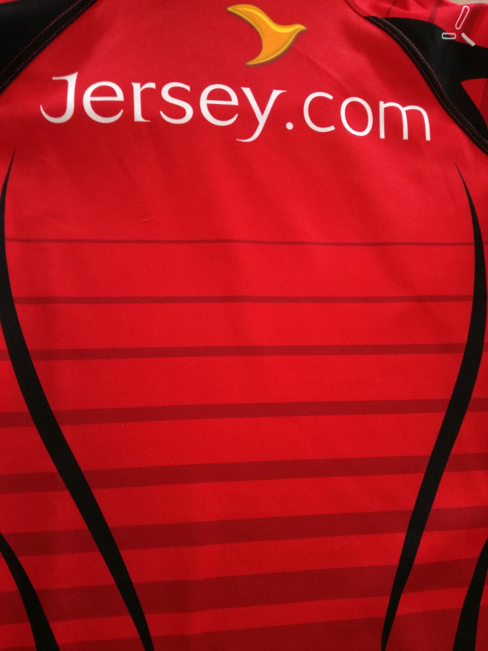 2013/14 Jersey Reds Home Championship Pro-Fit Rugby Shirt (M)