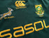 2009 South Africa Home Pro-Fit Rugby Shirt (S)