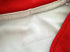 2010 Lions Away Rugby Shirt (L)