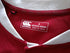 2025 British & Irish Lions Rugby Shirt (L)