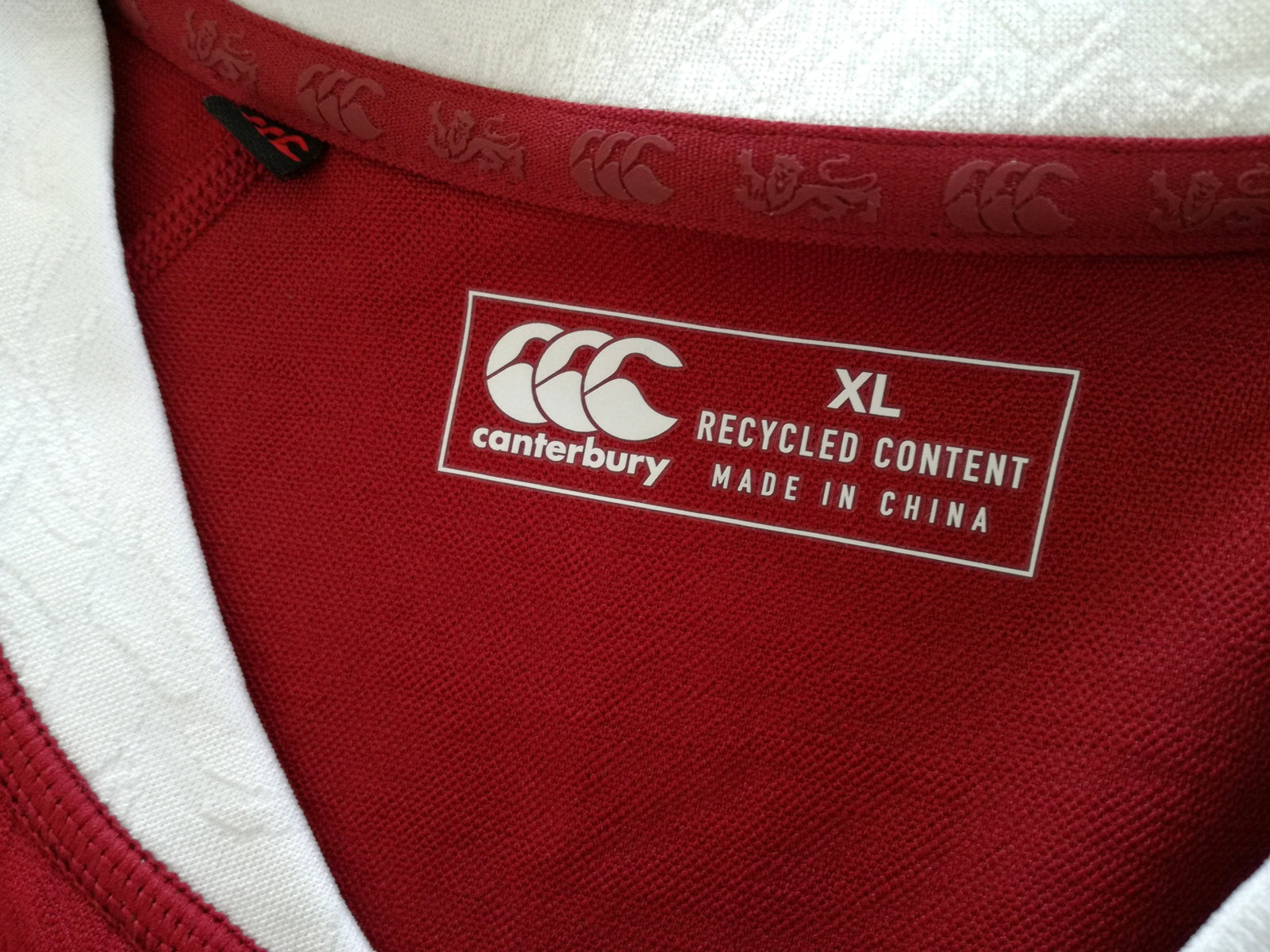 2025 British & Irish Lions Rugby Shirt (XL)