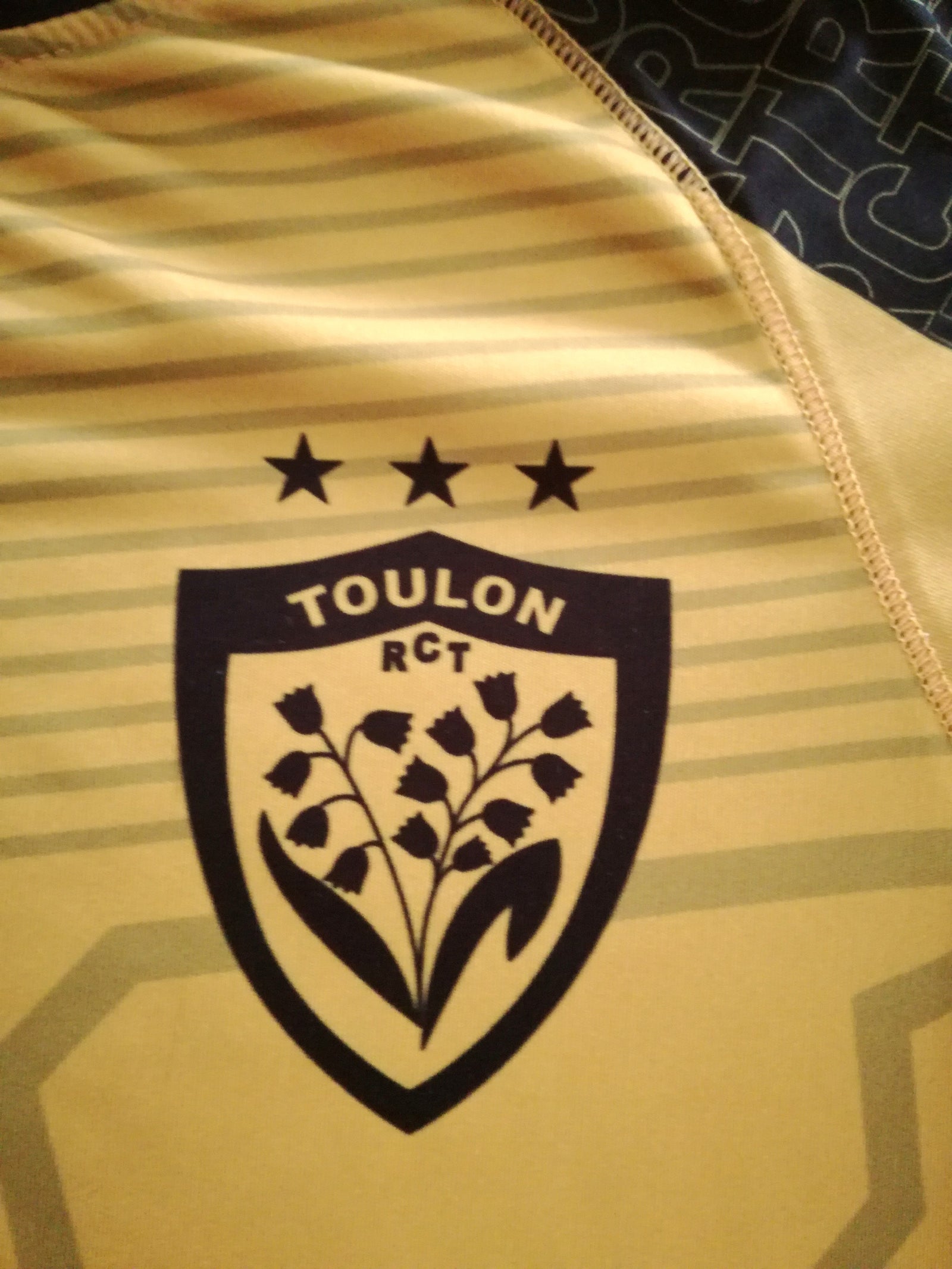 2016/17 RC Toulon Rugby Training Shirt (L)