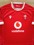 2024/25 Wales Home Pro-Fit Rugby Shirt