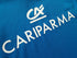 2013/14 Italy Home Rugby Shirt (S)