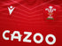 2021/22 Wales Home Pro-Fit Rugby Shirt (L) *BNWT*