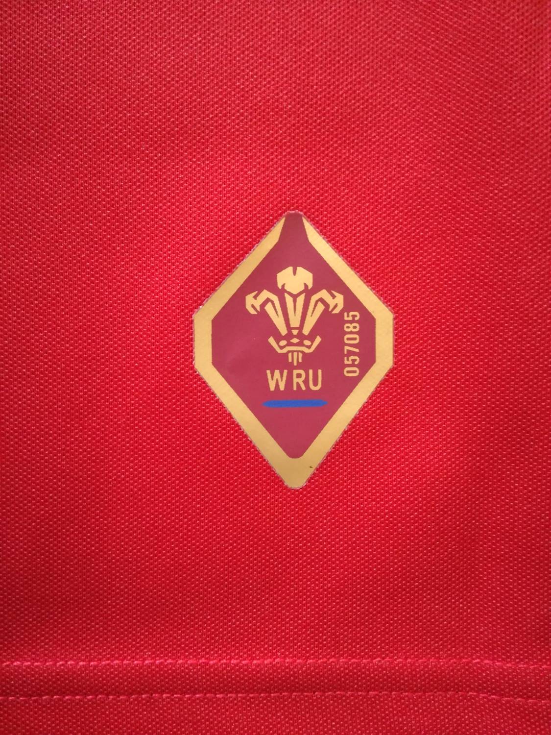 2015/16 Wales Home Rugby Shirt (W) (XXL)