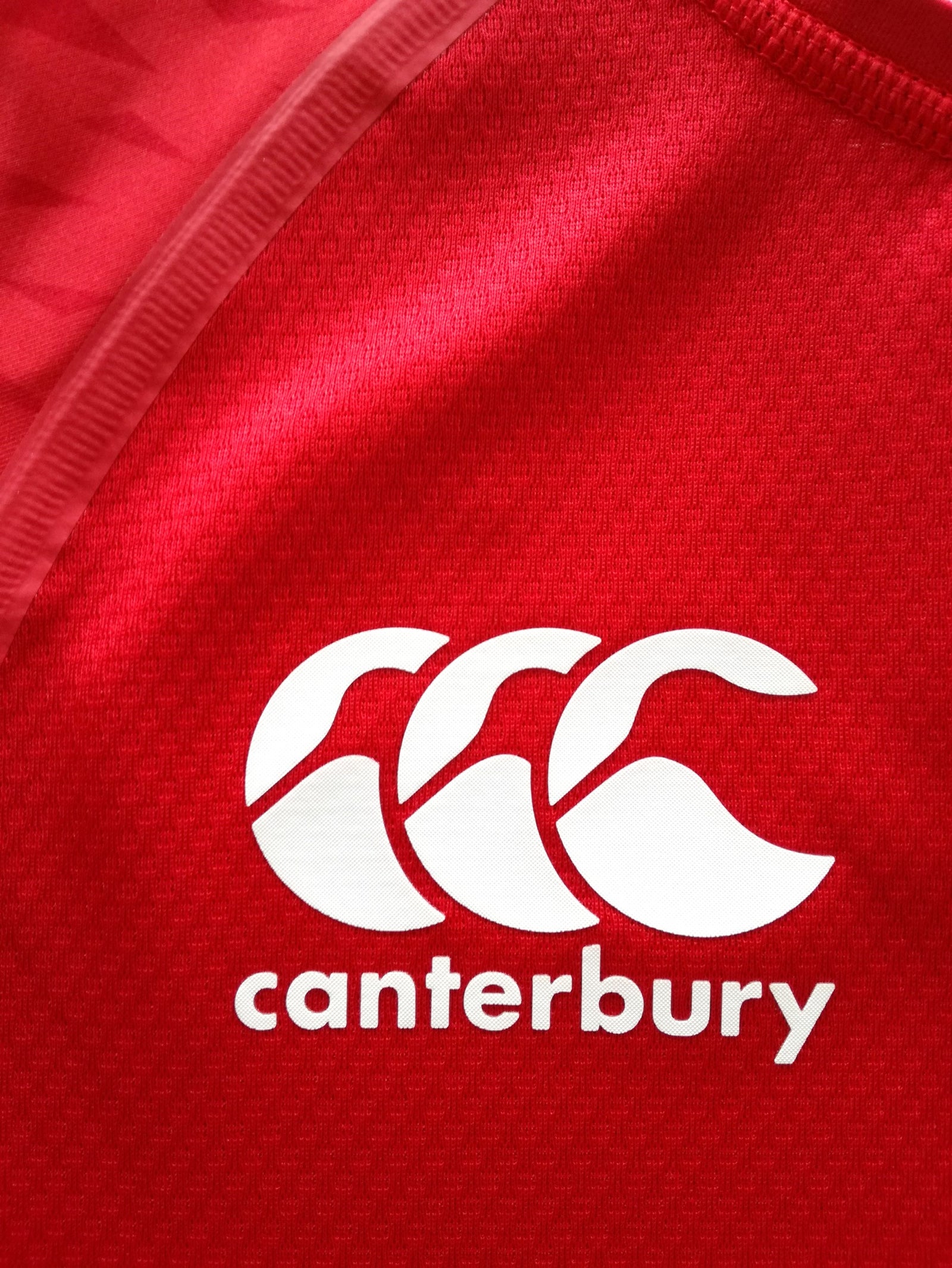 2021 British & Irish Lions 'Limited Edition' Rugby Test Shirt (S) *BNWT*
