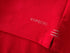 2021 British & Irish Lions Leisure Shirt (L)