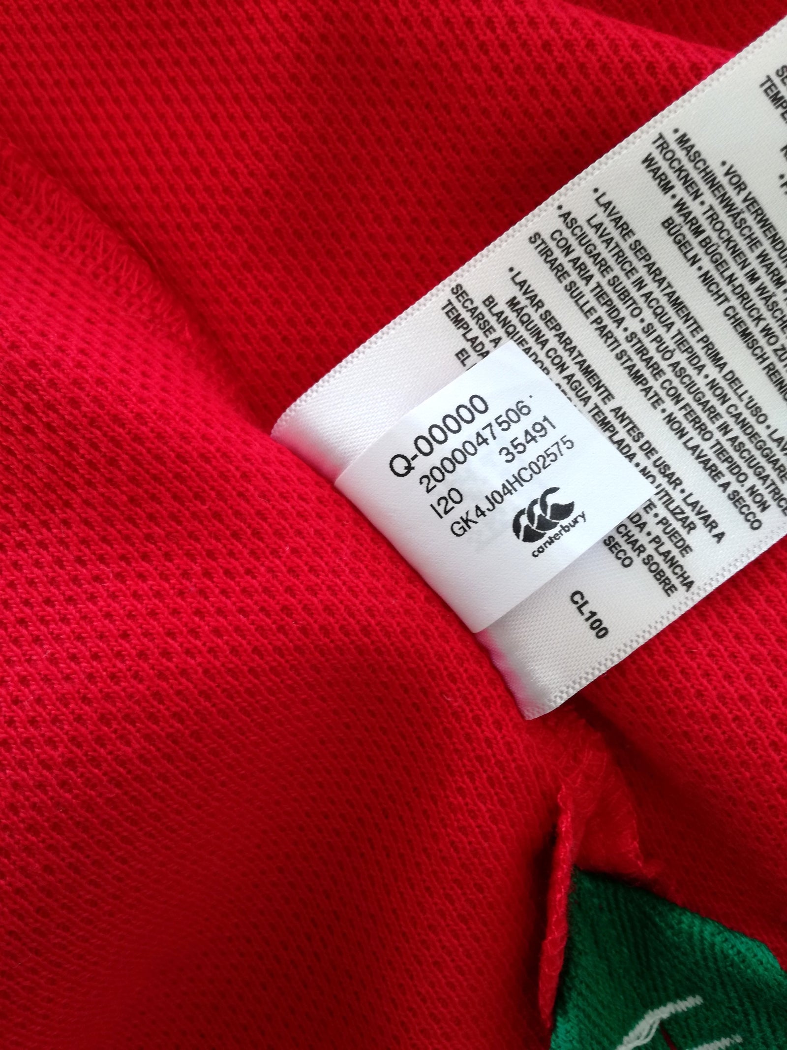 2021 British & Irish Lions Leisure Shirt (L)